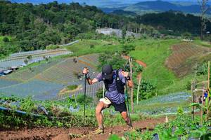 BIB: 
                            <button type="button" onclick="openModal(13379732)" class="btn btn-primary btn-sm float-right btn-popup" data-toggle="modal" data-target=".modal-high-quality">
                        <i class="fas fa-shopping-cart"></i> Add to Cart
                    </button>
                                            <button type="button" onclick="isThisMe(13379732, true)" class="btn btn-success btn-sm float-right btn-popup btn-isme hidden" data-toggle="tooltip" data-placement="bottom" title="นี่คือรูปของคุณใช่ไหม คลิกที่นี่เพื่อเอาเข้าอัลบั้ม">
                        <i class="fas fa-plus"></i> Add to album
                    </button>
                    <button type="button" onclick="isThisMe(13379732, false)" class="btn btn-warning btn-sm float-right btn-popup btn-isnotme hidden">
                        <i class="fas fa-ban"></i> Remove from album
                    </button>